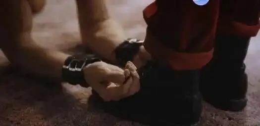 【西檬之家】k9犬系解析：BDSM亚文化中的忠诚扮演