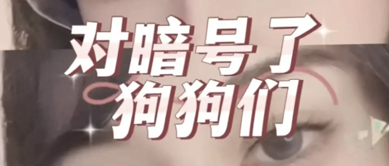 【西檬之家】DT是什么？BDSM字母圈新人必读的沟通指南