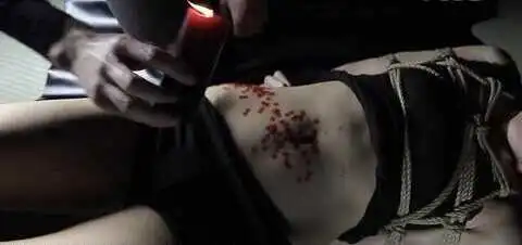 【西檬之家】k9是什么？BDSM文化中的狗系角色扮演浅析