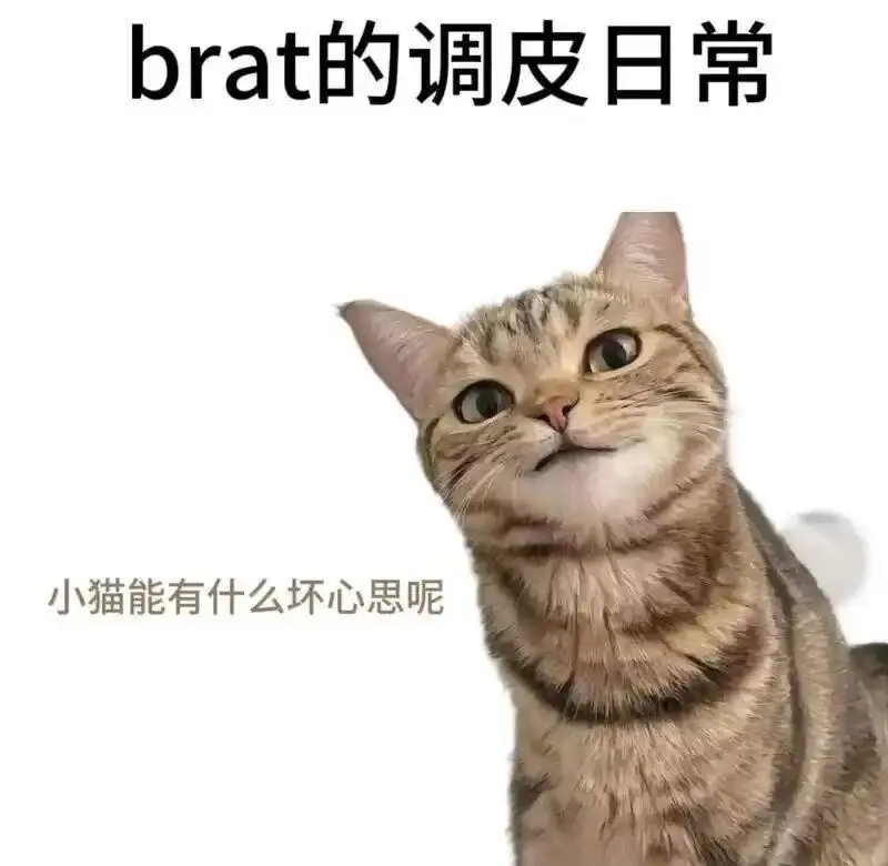 SM亚文化 - 微信图片_20251203212836_109_19