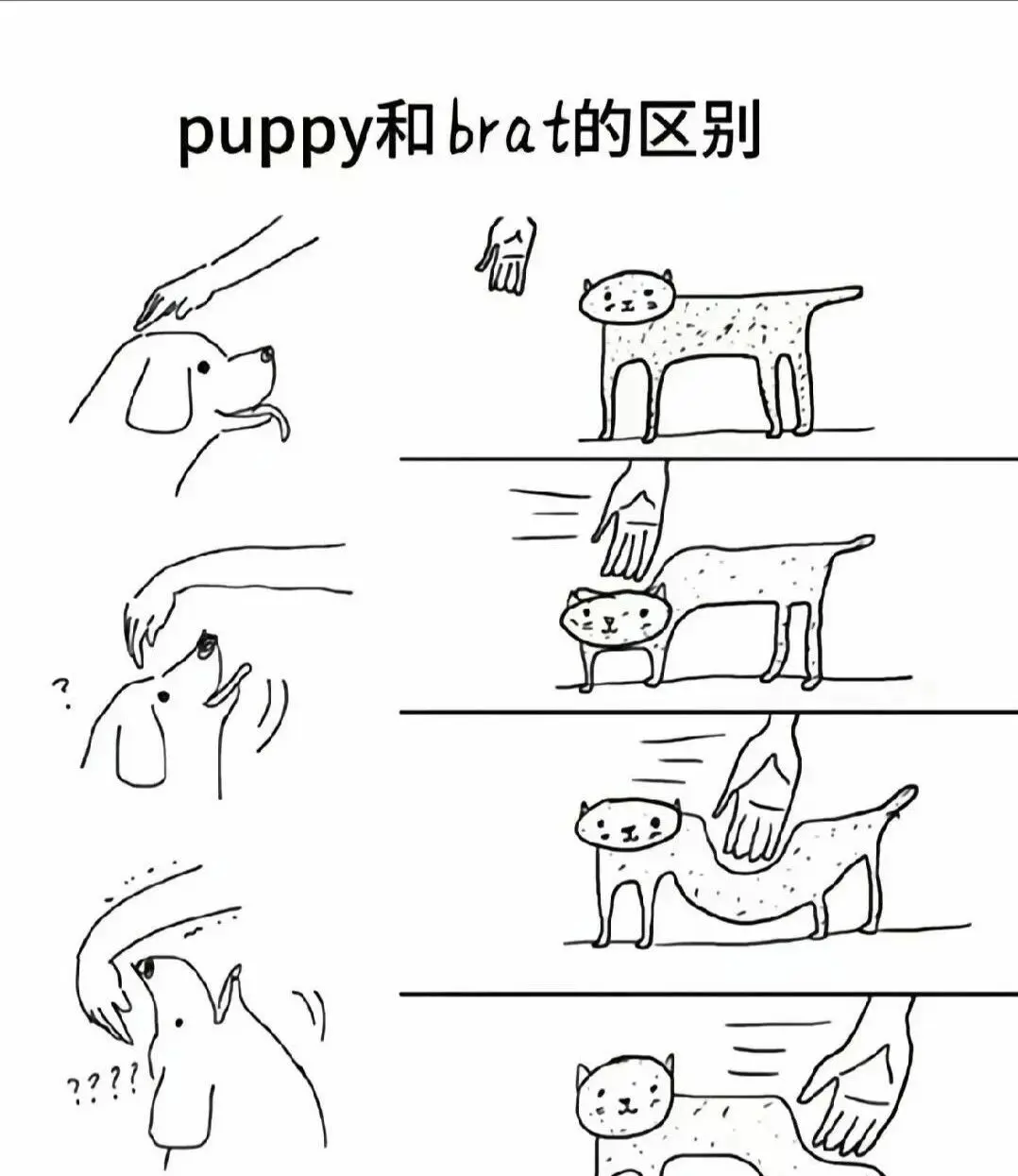 【西檬之家】大圈是什么意思？BDSM圈内核心概念全解析
