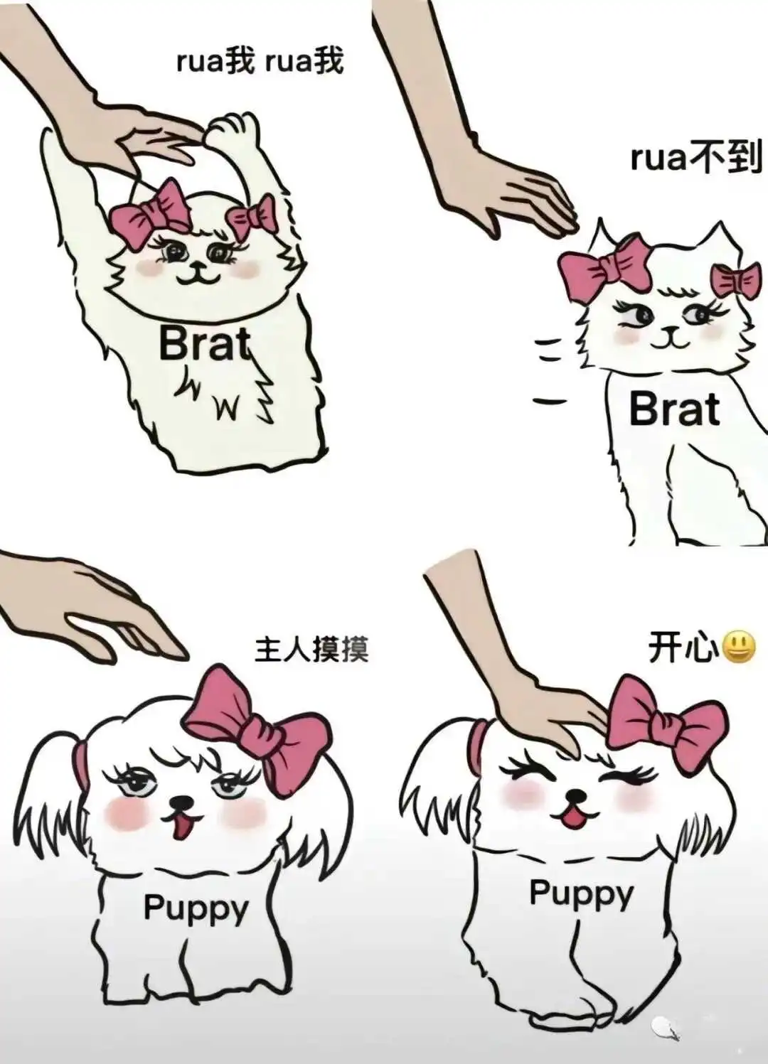 西檬之家-BDSM新手指南：字母圈核心术语解析