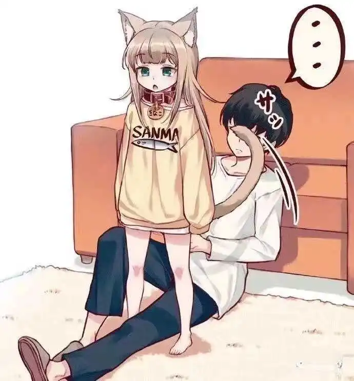 西檬之家-K8是什么？揭秘字母圈中的猫系角色