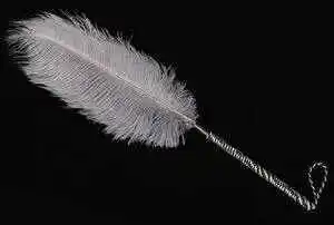 Sp - 2023_12_10_17_28_IMG_9239